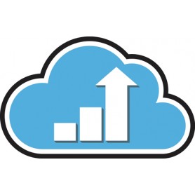 Zebra OneCare Select (Z1A4-XI42-300)