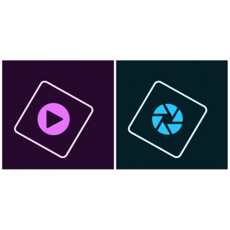 Adobe Photoshop for Teams 1 licenza/e Licenza Multilingua (65297615BA14A12)