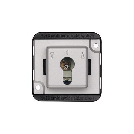 Merten 318860 interruttore elettrico Argento (318860)