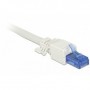 DeLOCK 86417 cavo di collegamento RJ-45 Blu, Bianco (86417)