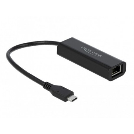 DeLOCK 66298 scheda di rete e adattatore Ethernet 5000 Mbit/s (66298)