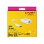 DeLOCK 63937 cavo e adattatore video 0,1 m USB tipo-C HDMI Bianco (63937)