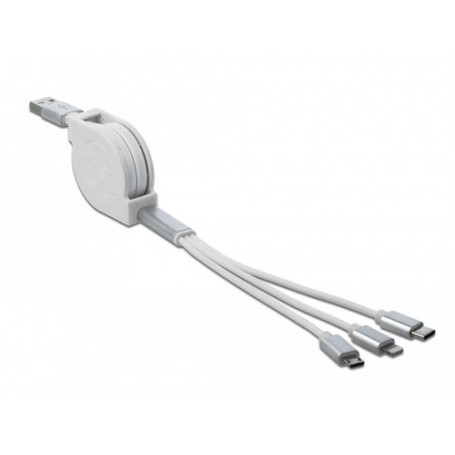 DeLOCK 85850 cavo USB 0,98 m USB 2.0 USB A USB C/Micro-USB B/Lightning Argento, Bianco (85850)