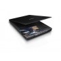 Epson Perfection V39 (B11B232401)
