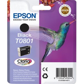 Epson Hummingbird Cartuccia Nero (C13T08014011)