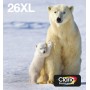Epson Polar bear Multipack 4-colours 26XL EasyMail (C13T26364511)