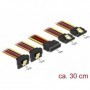 DeLOCK 60151 cavo di alimentazione interno 0,3 m (60151)