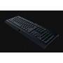 Razer Cynosa Lite tastiera USB QWERTY Italiano Nero (RZ03-02742000-R3H1)