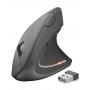 Trust Verto mouse Mano destra RF Wireless Ottico 1600 DPI (22879)
