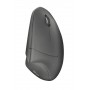 Trust Verto mouse Mano destra RF Wireless Ottico 1600 DPI (22879)