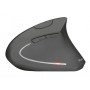 Trust Verto mouse Mano destra RF Wireless Ottico 1600 DPI (22879)