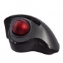 V7 MW650 mouse Mano destra RF Wireless Ottico 1200 DPI (MW650)