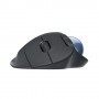 Logitech Ergo M575 for Business mouse Mano destra Wireless a RF + Bluetooth Trackball 2000 DPI (910-006221)