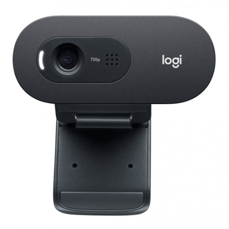 Logitech C505e webcam 1280 x 720 Pixel USB Nero (960-001372)
