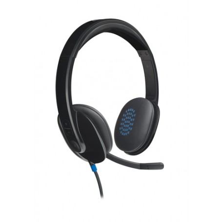 Logitech H540 Cuffia Padiglione auricolare USB tipo A Nero (981-000480)