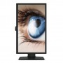 Benq BL2483TM 61 cm (24") 1920 x 1080 Pixel Full HD LED Nero (9H.LJALA.TPE)