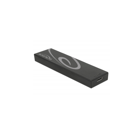 DeLOCK 42597 contenitore di unità di archiviazione Box esterno SSD Nero M.2 (42597)