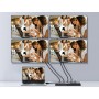Equip 332717 ripartitore video HDMI 4x HDMI (332717)