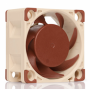 Noctua NF-A4X20 5V PWM ventola per PC Case per computer Ventilatore 4 cm (NF-A4X20 5V PWM)