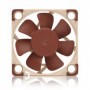 Noctua NF A4x10 5V PWM Case per computer Ventilatore 4 cm Marrone (NF-A4X10 5V PWM)