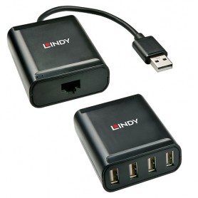 Lindy 42679 hub di interfaccia USB 2.0 Nero (42679)