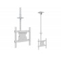 Multibrackets 2494 Supporto per display espositivi 139,7 cm (55") Bianco (MB2494)