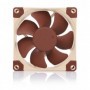 Noctua NF-A8 Case per computer Ventilatore 8 cm Beige, Marrone (NF-A8 5V)