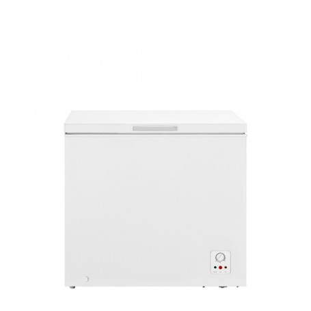 Hisense FC258D4AW1 frigorifero e congelatore commerciali Libera installazione F (FC258D4AW1)