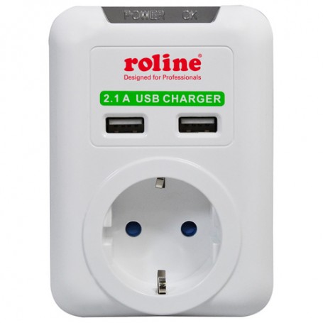 ROLINE Power Wall Outlet, 2x USB Charger adattatore e invertitore Bianco (RO19.07.1616)