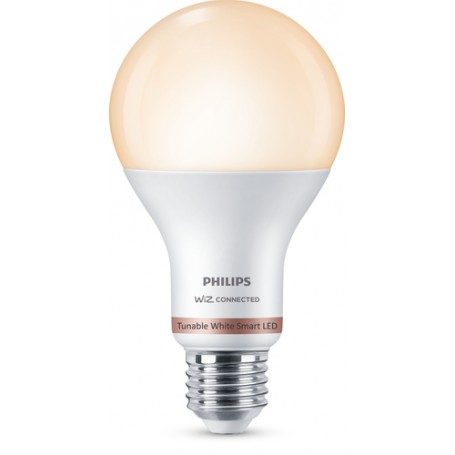 Philips Lampadina A67 E27 (929002449621)