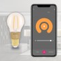 Marmitek Glow MI Lampadina intelligente 6 W Trasparente, Giallo Wi-Fi (08506)