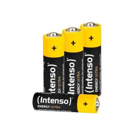 Intenso 7501424 batteria per uso domestico Batteria monouso Stilo AA Alcalino (7501424)