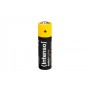 Intenso 7501824 batteria per uso domestico Batteria monouso Stilo AA Alcalino (7501824)