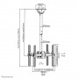 Neomounts by Newstar Select Supporto da soffitto per schermi LCD/LED/Plasma (NM-C440DBLACK)