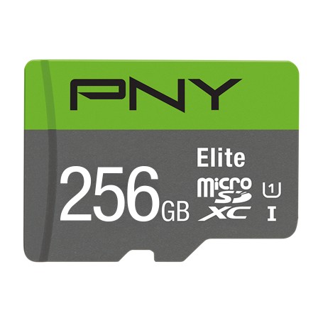 PNY Elite 256 GB MicroSDXC UHS-I Classe 10 (SDU256V11100EL)