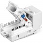 Trendnet TC-K50C6 modulo Keystone (TC-K50C6)