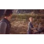 Sony PS4 Days Gone (9797319)