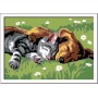 Ravensburger CreArt Sleeping Cats and Dogs Colore per kit di verniciatura in base ai numeri (28930)