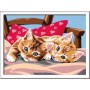 Ravensburger CreArt Two Cuddly Cats Colore per kit di verniciatura in base ai numeri (28938)