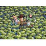 Clementoni 39499 puzzle (39499)
