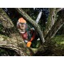 Black & Decker GKC3630L20 Nero, Arancione (GKC3630L20-QW)