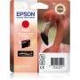 Epson Flamingo Cartuccia Rosso (C13T08774020)