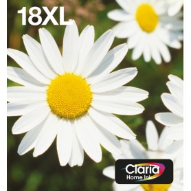Epson Daisy Multipack Margherita 4 colori Inchiostri Claria Home 18XL in confezione EasyMail Packaging (C13T18164511)