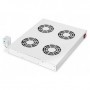 Digitus Cooling Unit for 19" Installation (DN-19 FAN-4-HO)