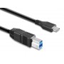 Hamlet Cavo adattatore da USB 3.1 Type C a USB 3.0 Tipo B Maschio 1 metro (XCTC-U3B100)