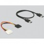 DeLOCK 41423 scheda di interfaccia e adattatore Interno PCI, SATA, USB 3.2 Gen 1 (3.1 Gen 1) (41423)
