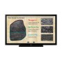 Sharp PN-75HC1 190,5 cm (75") LED 4K Ultra HD Nero Touch screen (PN-75HC1)