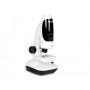 Hamlet Microscopio ottico e digitale usb (XMICROU400)
