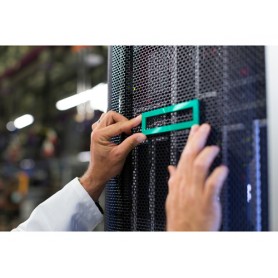 Hewlett Packard Enterprise HPE DL38X Gen10 2SFF Premium HDD Front NVMe slot di espansione (826687-B21)