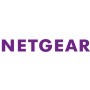 Netgear Audio Video Bridging 1 licenza/e (GS724TAV-20000S)